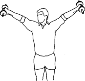 Elevação lateral