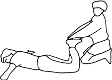 Isquiotibiais